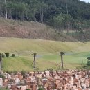 양산 동원로얄컨트리클럽 이미지