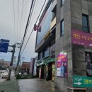 크로커다일제주 이미지