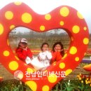 흑산초등학교 이미지