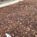 권관농장 이미지