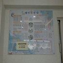 CU서천홍원항점 | [ 맛있는 끄적임 #77 ] 충남 서천 홍원항 맛집 | 대하랑 전어가 맛있었던 "섬덕회센타" 내돈내산 후기 🦐🐟