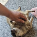 6682 | 계절 상관없는 실내동물원 테이블에이 파주점 다녀온 실제 후기