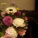 일리컴퍼니 이미지