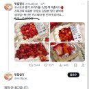 코스트코 딸기 트라이플 1년만에 재출시!!🍓 이미지