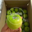 마들길 | 아오리사과 고당도 썸머킹 경북 청송 황금사과 시나노골드 얼음골 사과배송 후기(싱싱보따리)