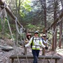 한국 100대 명산을 향해서...(두번째 축령산) 이미지