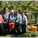 산골나들이 이미지