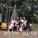 장미속옷 이미지