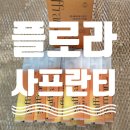플로라_사프란티_샤프란차_꽃차_고급차세트_저속노화_차_추천_제품_리뷰_후기