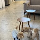 몽이집(본점) 이미지