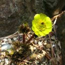 송백1리 이미지