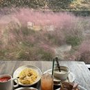 모  전 | 대구 칠곡 대형카페 가족나들이 추천 가산수피아 모하 더 그린하우스