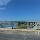 다물목장 | 나트랑 판랑 사막투어 단독 선셋 선라이즈 다 돼