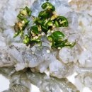 원빈수산 이미지