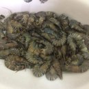 과일도시 이미지