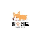 옐레드 부천상동점 | 상동 애견유치원 옐레드 부천상동점 체험후기!