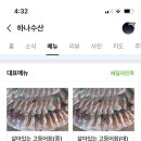 금호수산식당