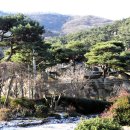 안국사지 이미지