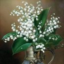 당신의 인생사진 이미지