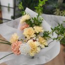 모이모이 | 순천 신대지구 꽃집 &#39;모이무아&#39; 후기💐