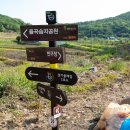 경기옛길 의주길 제5길 임진나루길 이미지