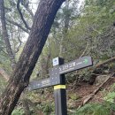 지리산 성중종주 무박 중간탈출로 후기(세석대피소-중산리) 안내산악회 시간
