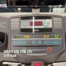 투투 동물병원 | 느지막이 돌아본 6월