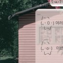 그레이핑크
