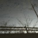 강서체육공원 이미지