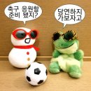 설악생활체육공원 이미지