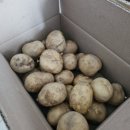 여장부(1농장) 이미지