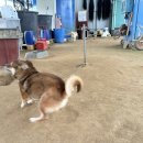 병훈농장 이미지