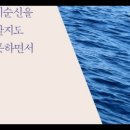 이순신을 알지도 못하면서, 한봉희, 강강수월래, 유정, 명나라, 순천왜성, 백의종군, 선조, 임진년 이미지