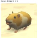 국가가정사회 무료 멸망 퍼레이드 후기