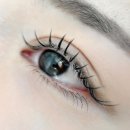 더래쉬 디자인스튜디오