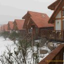 통나무펜션 이미지