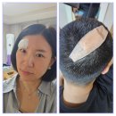 모전자전 이미지