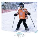 라바스키 | 지산리조트 스키강습 스키장 9세 어린이 리프트권 가격