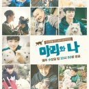 마리펫 이미지