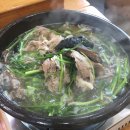 사시사철 흑염소.오리 이미지