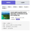 네이버 여행정보 노랑풍선 말레이시아 코타키나발루 3박5일 호핑투어 반딧불투어
