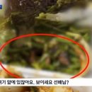 족발속으로 이미지
