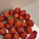 그린제과점 이미지