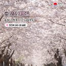 꽃길만걸어요 이미지