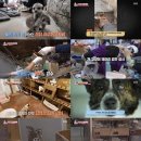 송치농장 이미지