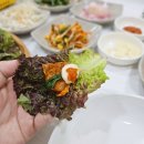 장수오리 | 인천대공원 맛집 장수가든 추천 여름 보양식 오리주물럭 후기