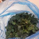 한얼농장 이미지