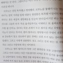 고양이라서 행복해 이미지