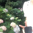 나혼자 후쿠오카 여행