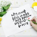 평안이네 이미지